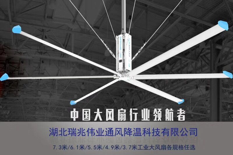 【湖北】参加展览会的国外友人都被瑞兆大型工业风扇瞬间圈粉了！